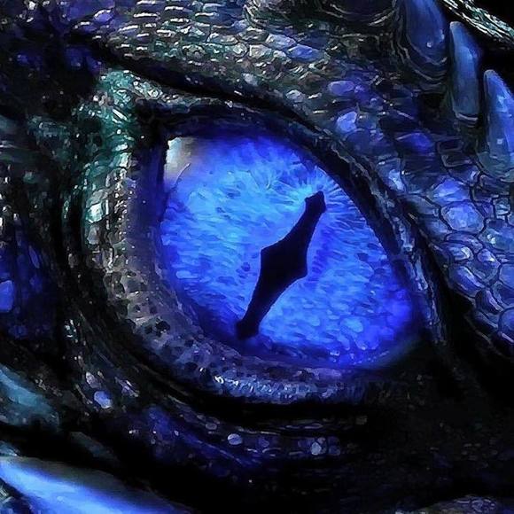 Meet your Posher, Sean - Picture 1 of 1